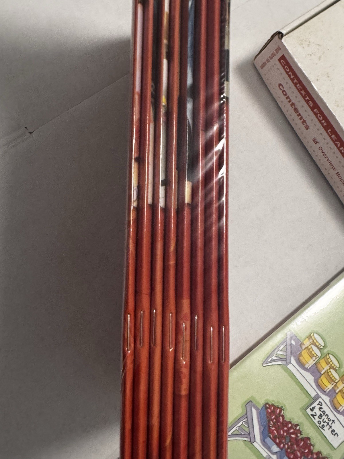 Heinemann Multiplication Division Context for Learning Mathematics Grade 3-5 New