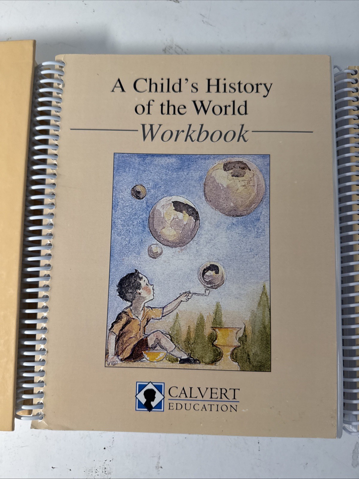 A CHILD&rsquo;S HISTORY OF THE WORLD Workbook, Manual, text Calvert Homeschool Unused