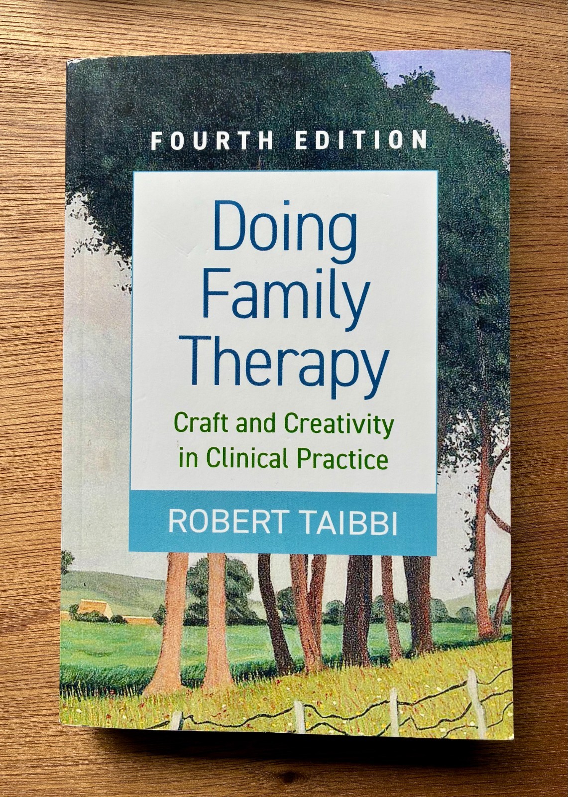 Doing Family Therapy : Craft and Creativity in Clinical Practice, Robert Taibbi