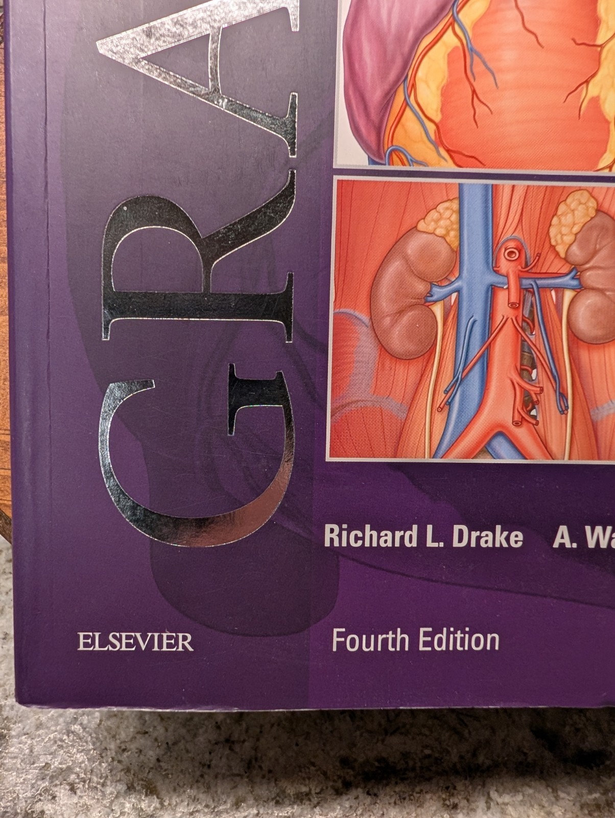 Gray&rsquo;s Anatomy for Students by Richard L Drake PhD New Fourth Ed. Digital Ver.