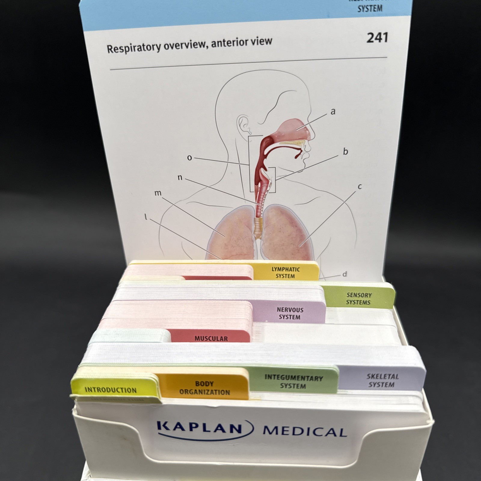 Anatomy Flashcards by Joanne Tillotson 2017 Cards Flash Cards Kaplan Medical