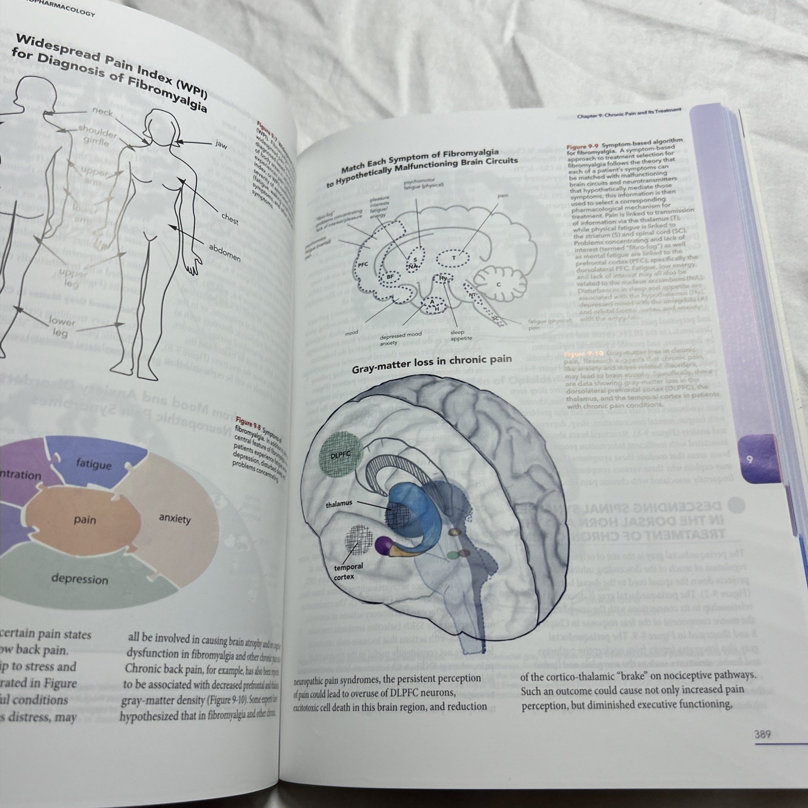 Stahl&rsquo;s Essential Psychopharmacology : Neuroscientific Basis and Practical appl