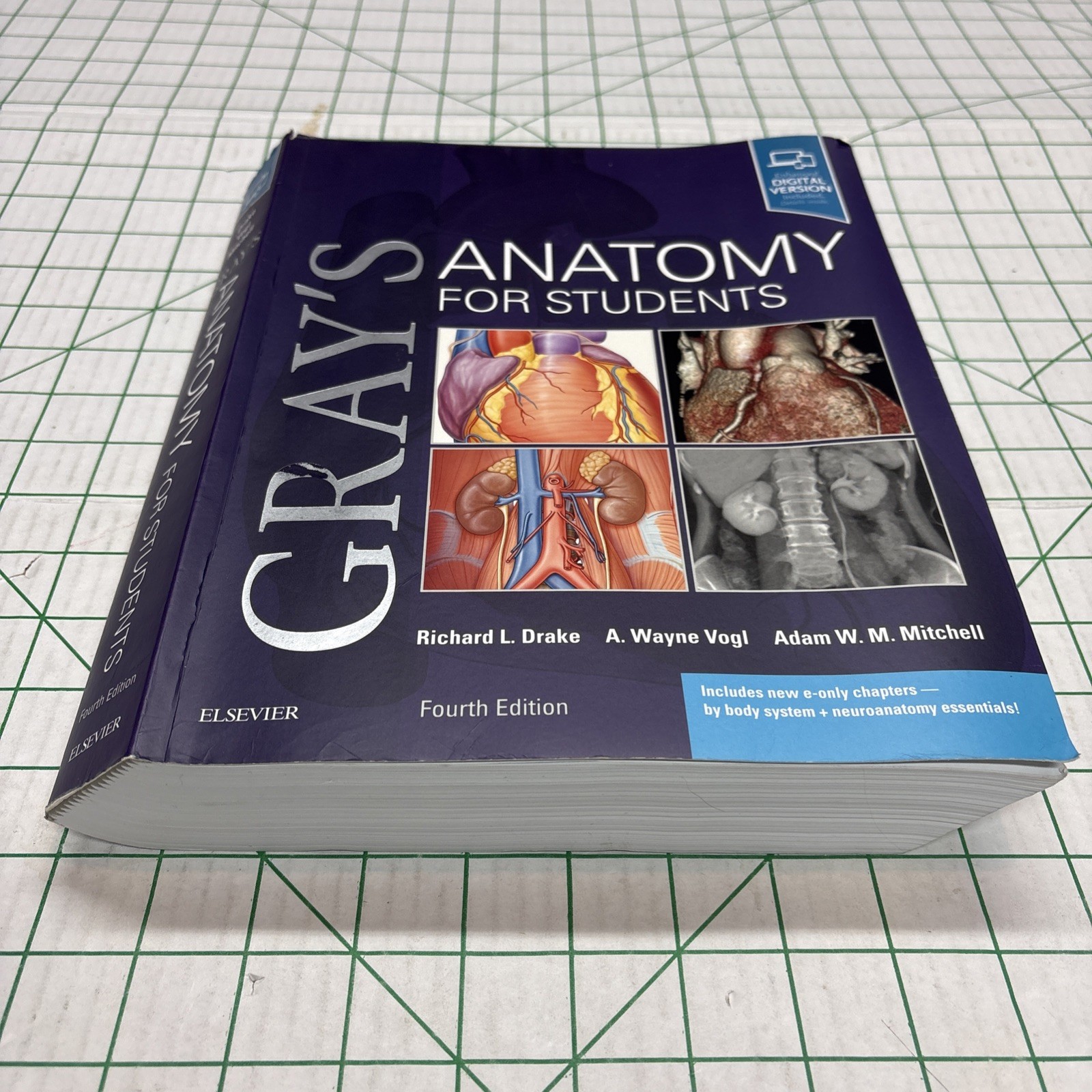 Gray&rsquo;s Anatomy Ser.: Gray&rsquo;s Anatomy for Students by A. Wayne Vogl, Adam W. M….